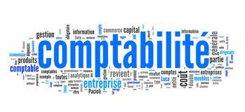 Remplissage des liasses fiscales de ma société par un expert comptable à Strasbourg en Alsace